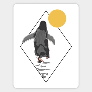 Penguin Sun King Emperor Sea Bird Penguin Lover Penguin Magnet